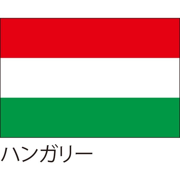 【世界の国旗】服部 応援・装飾用旗 ハンガリー 105×70cm ポンジ 1枚（直送品）