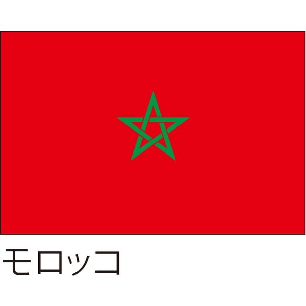 【世界の国旗】服部 応援・装飾用旗 モロッコ 105×70cm ポンジ 1枚（直送品）
