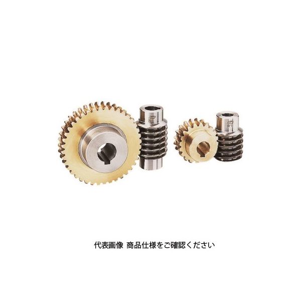 協育歯車工業 KG ウォーム W2S R2ーEーC R2-E-C 1個 149-4790（直送品）