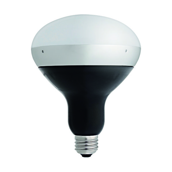 バラストレス水銀ランプ 透明型 200V 160W 1個