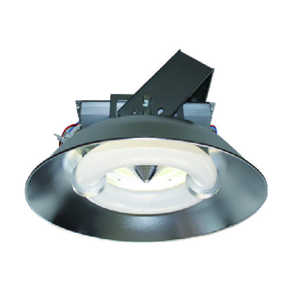 天草池田電機 ELI Lamp PL-564A-CC200W-A 屋内用 003453 1台 160-9197（直送品）