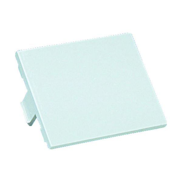 パンドウイット スイッチボックス用フェースプレート枠用1/2サイズブランクアダプタ枠 オフホワイト 10個入 CHB2IW-X（直送品）