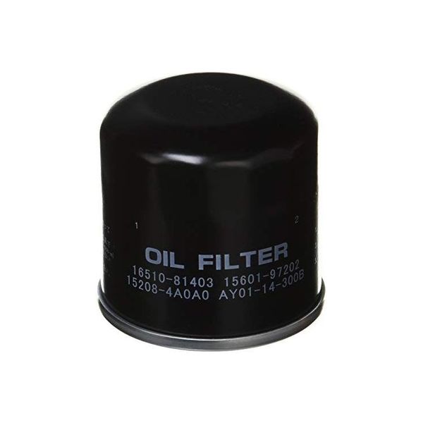 FILTEC フィルテック OIL FILTER DSO-1（直送品）