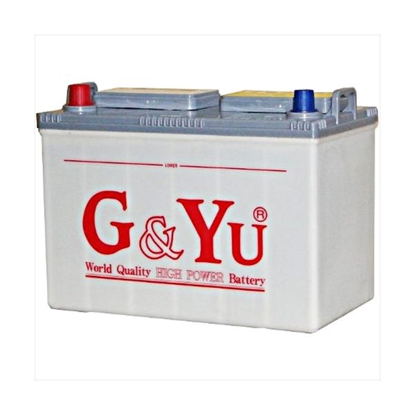G&Yu 電動車バッテリー サイクルサービス EB65-T（直送品）
