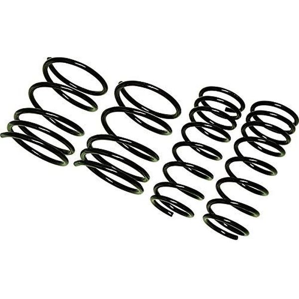 レーシングギア（RACING GEAR） ダウンスプリング 【LOWFORM REVOLUTION】 S2000 AP1 SH122A（直送品） 12,574円