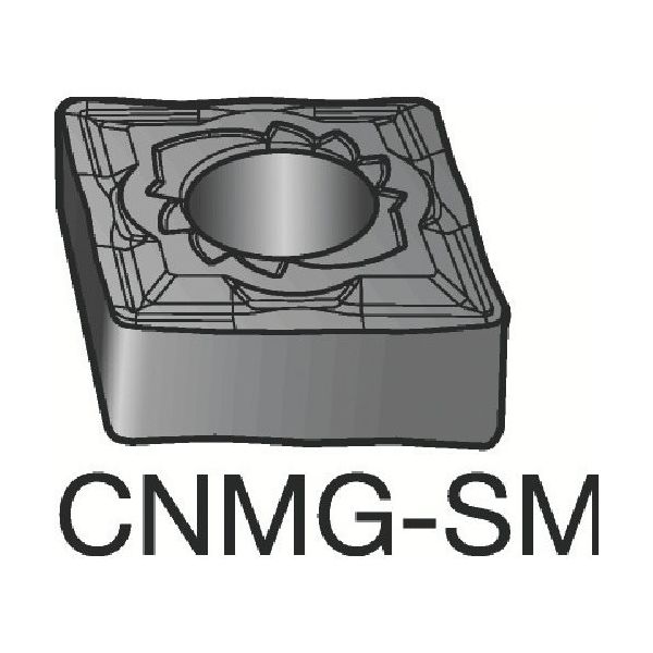 サンドビック TーMax P 旋削用ネガチップ(110) S05F CNMG 19 06 16-SM 1セット(10個) 604-9443（直送品）