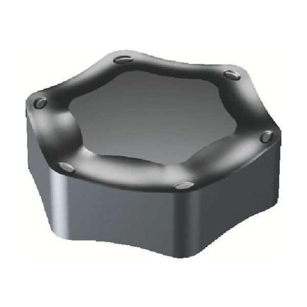 サンドビック SANDVIK フライスチップ(170) 3330 HNGX 09 05 20-KM 1セット(10個) 570-8915（直送品）