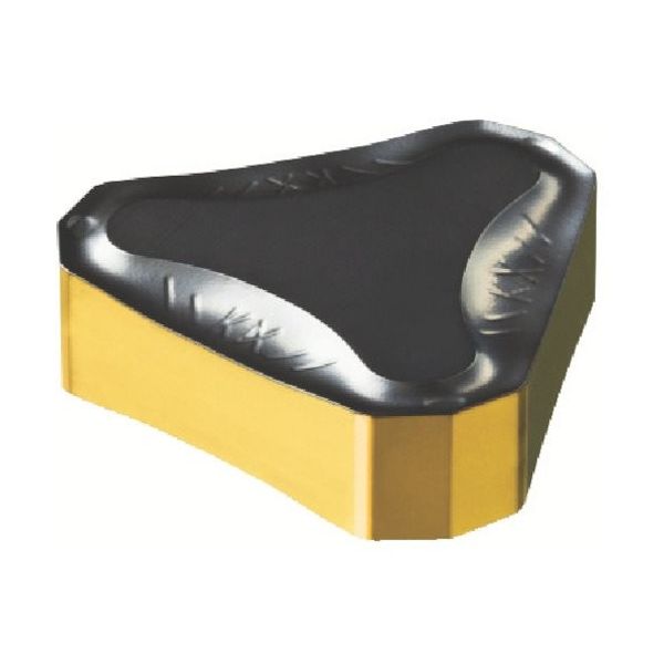 サンドビック SANDVIK フライスチップ(170) 3330 TNEF 12 04 AN-KM 1セット(10本) 579-4498（直送品）