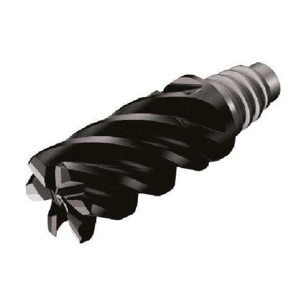 サンドビック コロミル316 フライス加工用超硬ヘッド(345) 1745 316-25FL642-25030L 1個 161-9367（直送品） 63,690円