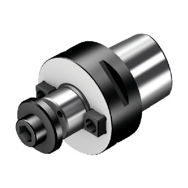 サンドビック SANDVIK フェースミルホルダ(530) C6-391.05C-40 050M 1個 568-0492（直送品）