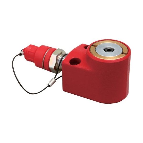 理研機器 RIKEN インチねじシリンダ S04-70T 1台 773-5294（直送品）