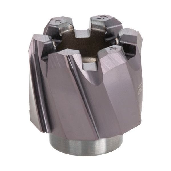 タンガロイ 貫通穴用左ねじれ溝付きリーマヘッド(H7公差加工用) AH725 HRM-15.875-BL-T6 1個 224-9458（直送品）