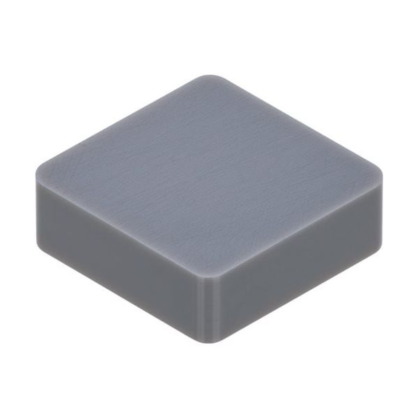 タンガロイ TACインサート TS200 CNGN120712-E 1セット(10個) 271-7580（直送品）