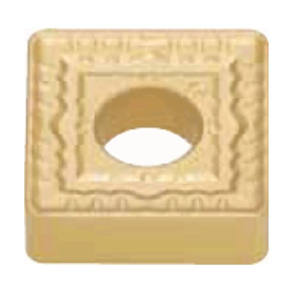 タンガロイ インサート CVDコーティング T9225 SNMM190616-TUS 1セット(10個) 224-1640（直送品）