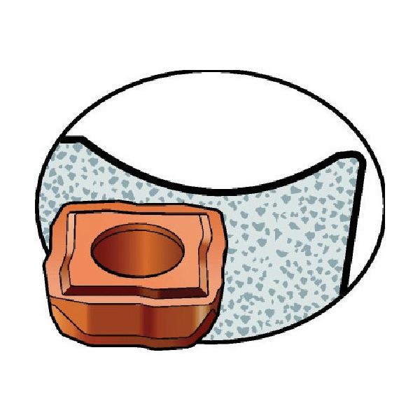 SANDVIK 穴あけ加工用チップ スーパーUドリル(365) H13A 880-09 06 08H-C-LM 1セット(10個)（直送品）