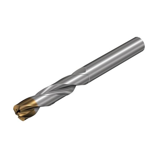 サンドビック SANDVIK コロドリル860ーGM 超硬ソリッドドリル(720) X1BM 860.1-1425-042A1-GM 1本（直送品）