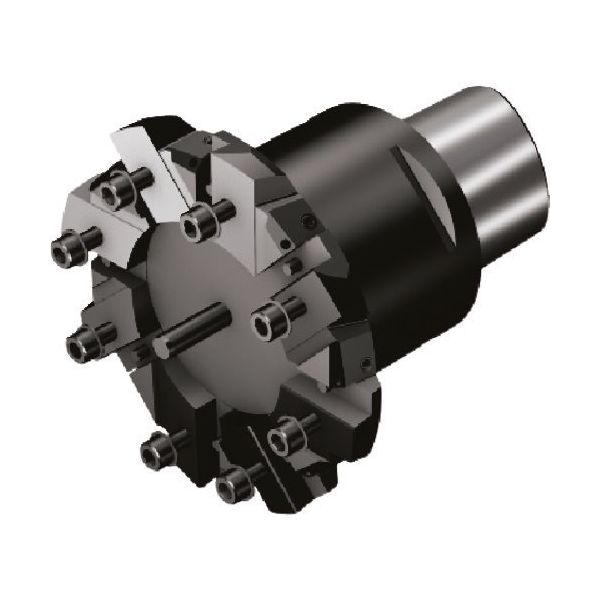 サンドビック SANDVIK コロボアBR30(530) C8-R820D-171-6-082 1個 168-4619（直送品）