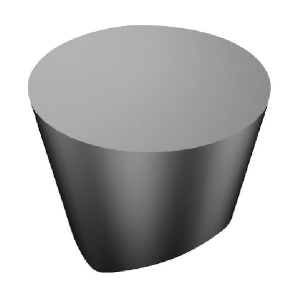 サンドビック SANDVIK TーMax 旋削用ポジチップ(615) 6160 RPGX060400E 1セット(10個) 168-1475（直送品）