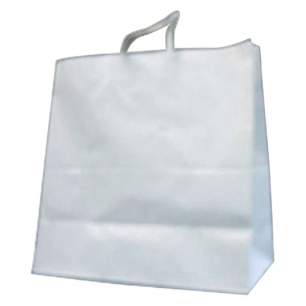 パックタケヤマ 紙袋 手提袋 HVT150 晒 無地 00031799 1袋(50個)（直送品）