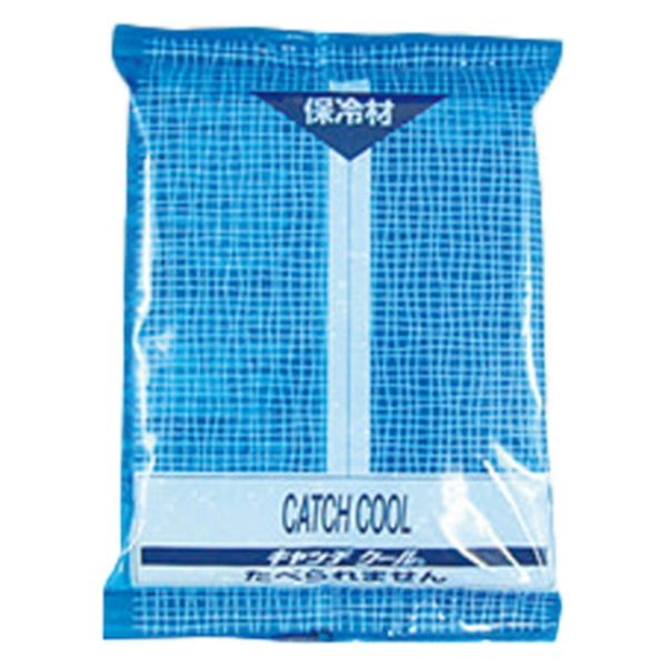 トライ・カンパニー 保冷剤 キャッチクール HC-200PL 00224205 1袋(1個)（直送品）