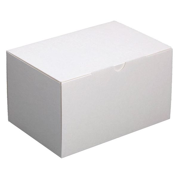 ヤマニパッケージ  ケーキ箱 エコ洋生105 #10 20-227 100箱(25箱×4)（直送品）