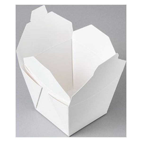 北原産業 紙箱 テイクボックスキューブ1000白(PP) CE21012 400箱(25箱×16)（直送品）