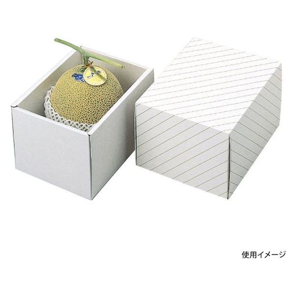 ヤマニパッケージ 青果用贈答箱 メロン深口 L-158 50箱（10箱×5）（直送品）