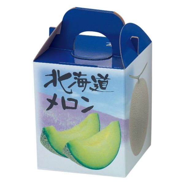 ヤマニパッケージ 青果用贈答箱 北海道メロン1ヶ入 L-2052 100箱（10箱×10）（直送品）