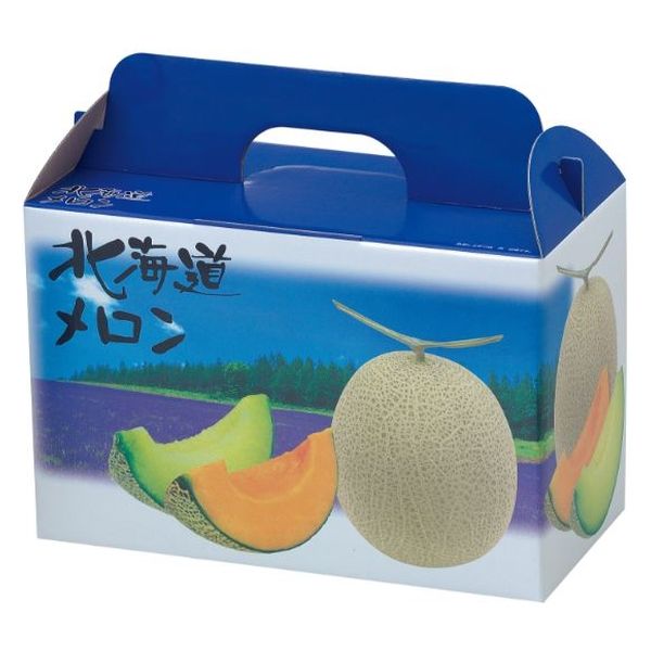 ヤマニパッケージ 青果用贈答箱 北海道メロン2ヶ入 L-2085 50箱（10箱×5）（直送品）