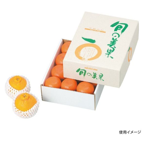 ヤマニパッケージ 青果用贈答箱 旬の美果（小） L-2098 50箱（10箱×5）（直送品）