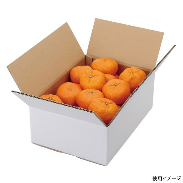 ヤマニパッケージ 青果用贈答箱 A式みかん白無地5kg L-2232 60箱（1箱×60）（直送品）