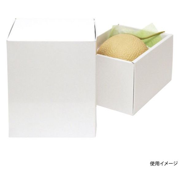 ヤマニパッケージ 青果用贈答箱 ホワイト メロン1ヶ入 L-2236 50箱（1箱×50）（直送品）