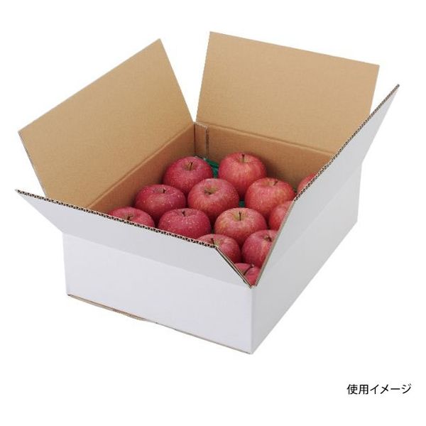 ヤマニパッケージ 青果用贈答箱 A式りんご白無地5kg L-2234 40箱（10箱×4）（直送品）