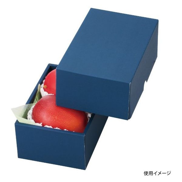 ヤマニパッケージ 青果用贈答箱 マンゴー2ヶネイビー L-2238 100箱（10箱×10）（直送品）