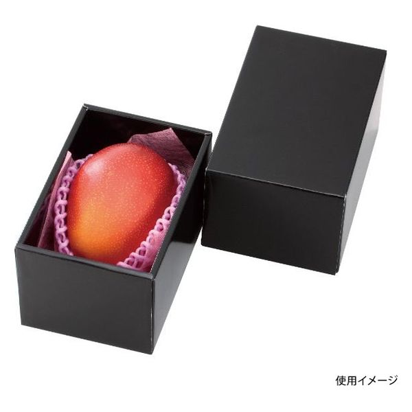 ヤマニパッケージ 青果用贈答箱 マンゴー金柑 BOX L-2278 100箱（1箱×100）（直送品）