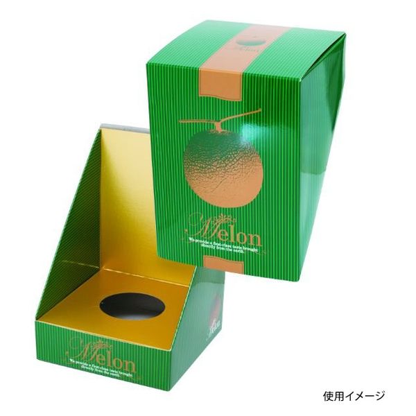 ヤマニパッケージ 青果用贈答箱 メロン飾 グリーン L-2351 100箱（10箱×10）（直送品）