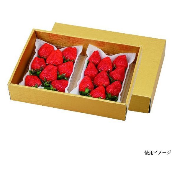 ヤマニパッケージ 青果用贈答箱 ゴールド28 L-2363 50箱（10箱×5）（直送品）