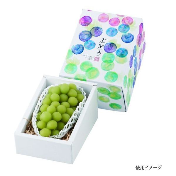 ヤマニパッケージ 青果用贈答箱 彩りぶどう1房 L-2367 60箱（10箱×6）（直送品）