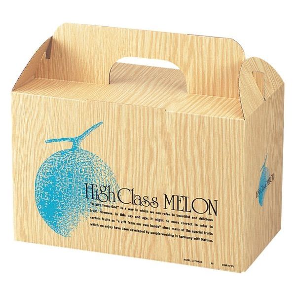 ヤマニパッケージ 青果用贈答箱 ハイクラスメロン2 L-238 100箱（10箱×10）（直送品）