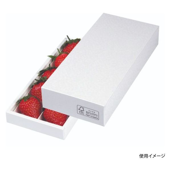 ヤマニパッケージ 青果用贈答箱 L-2401FS パールアソート10FS 100箱(1箱×100)（直送品）