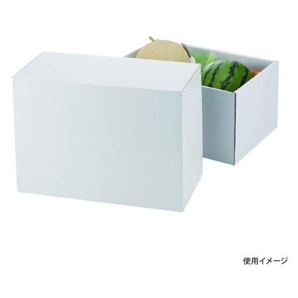 ヤマニパッケージ 青果用贈答箱 ホワイトロイヤル170 L-2383 30箱（10箱×3）（直送品）