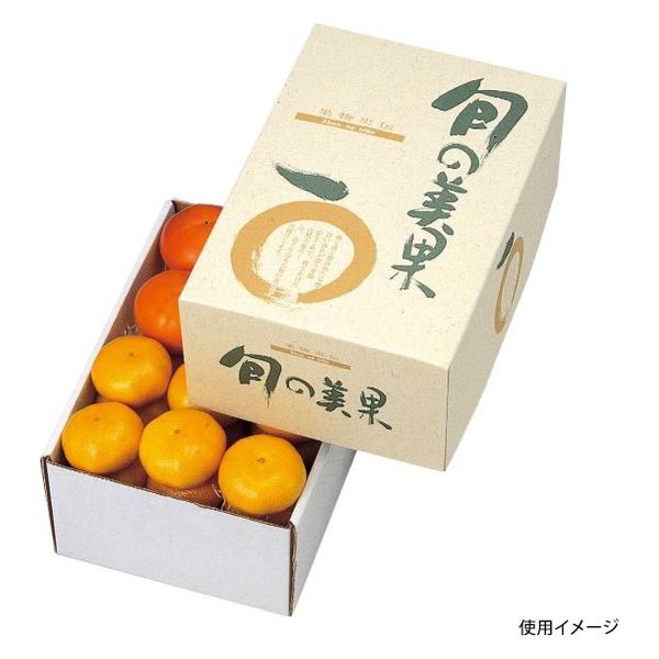 ヤマニパッケージ 青果用贈答箱 旬の美果5kg L-341 40箱（10箱×4）（直送品）