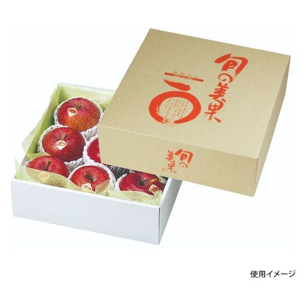 ヤマニパッケージ  青果用贈答箱 L-383 旬の美果9ヶ用角 L-383 40箱(10箱×4)（直送品）