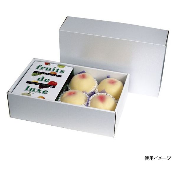 ヤマニパッケージ 青果用贈答箱 パール 浅口 バラエティ LTO-37 50箱（25箱×2）（直送品）