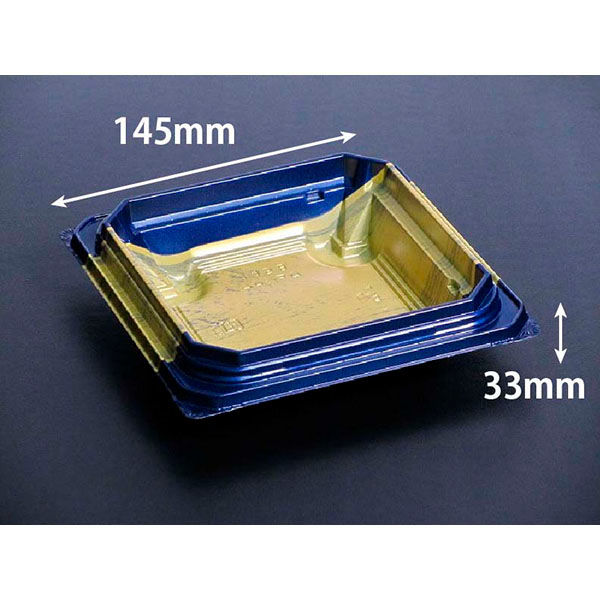 丼・重 バイオデリカ 枠重 145B リスパック