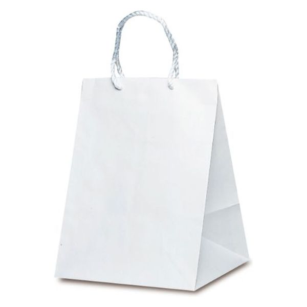 ベルベ 紙袋 手提袋 グレートバッグ 1包：50枚（10×5）