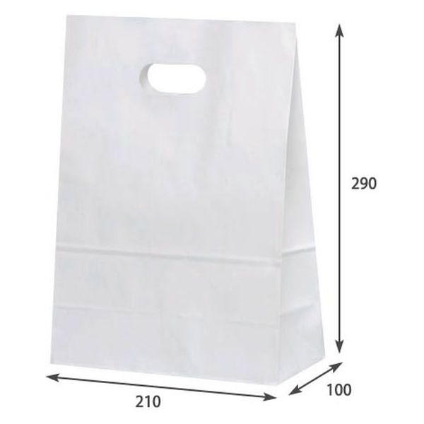 パックタケヤマ 紙袋 イーグリップ L 白無地 XZT52013 1袋(50個)（直送品）