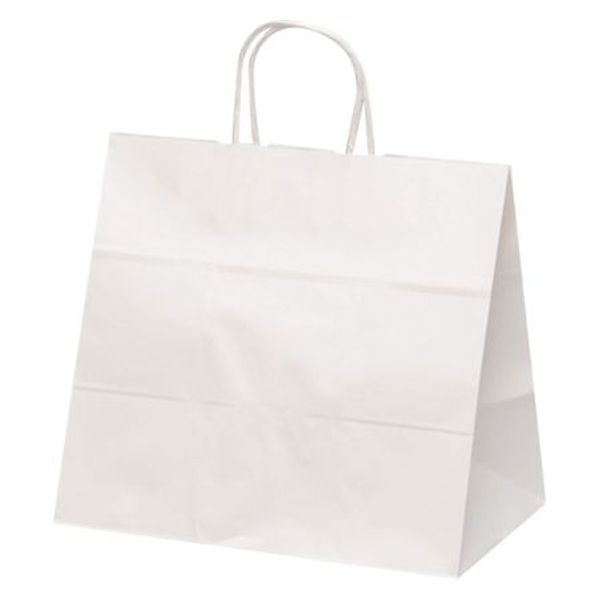 パックタケヤマ 紙袋 自動手提袋 V75 晒 無地 68751 1袋(50個)（直送品）