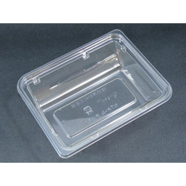 リスパック フルーツ容器 ニュートカップ NTホール 本体 PYBL500 1袋(100個)（直送品）