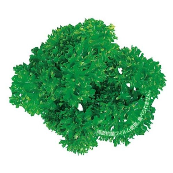 ユニバース フィルムシート グルメシート 抗菌パセリ 丸 11203 1袋(1000枚)（直送品）